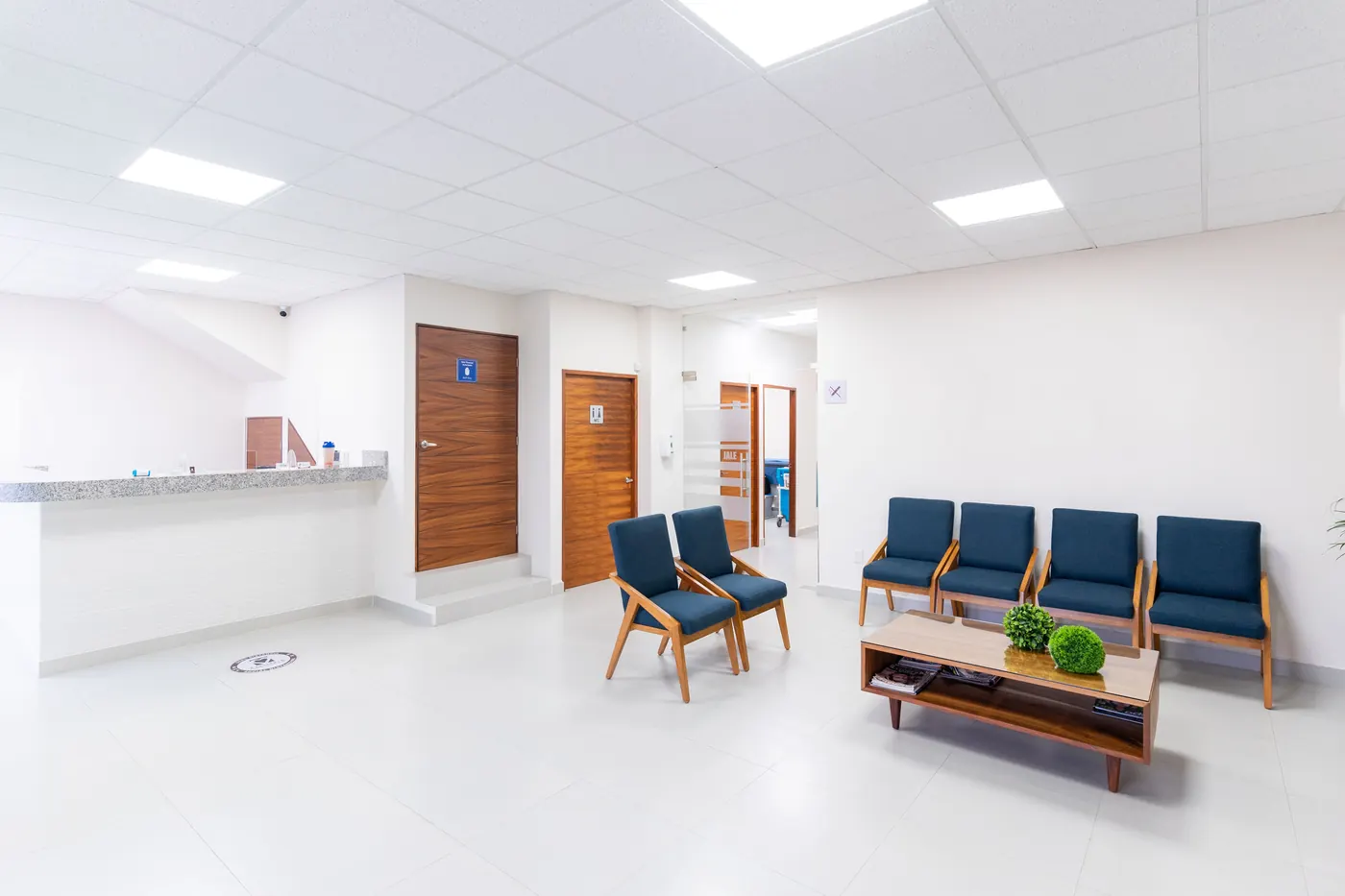 Comfortable therapy office waiting area